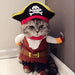 Pirate Costume