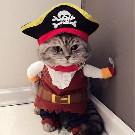 Pirate Costume