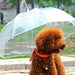 Leash Umbrella