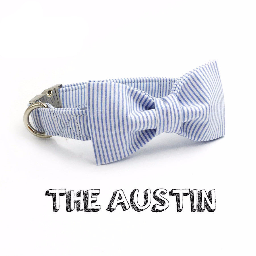 The Austin Collar