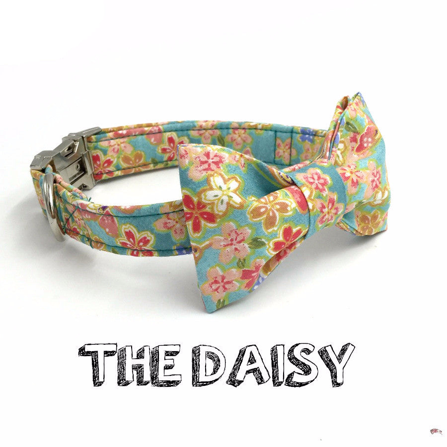 The Daisy Collar