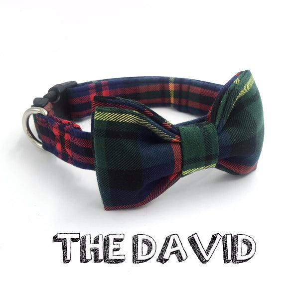 The David Collar